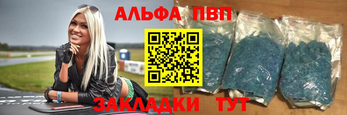 Альфа ПВП СК КРИС Дятьково
