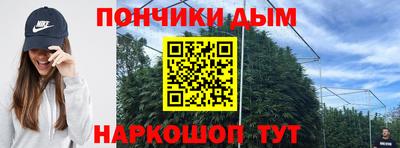 прущие грибы Мариинск