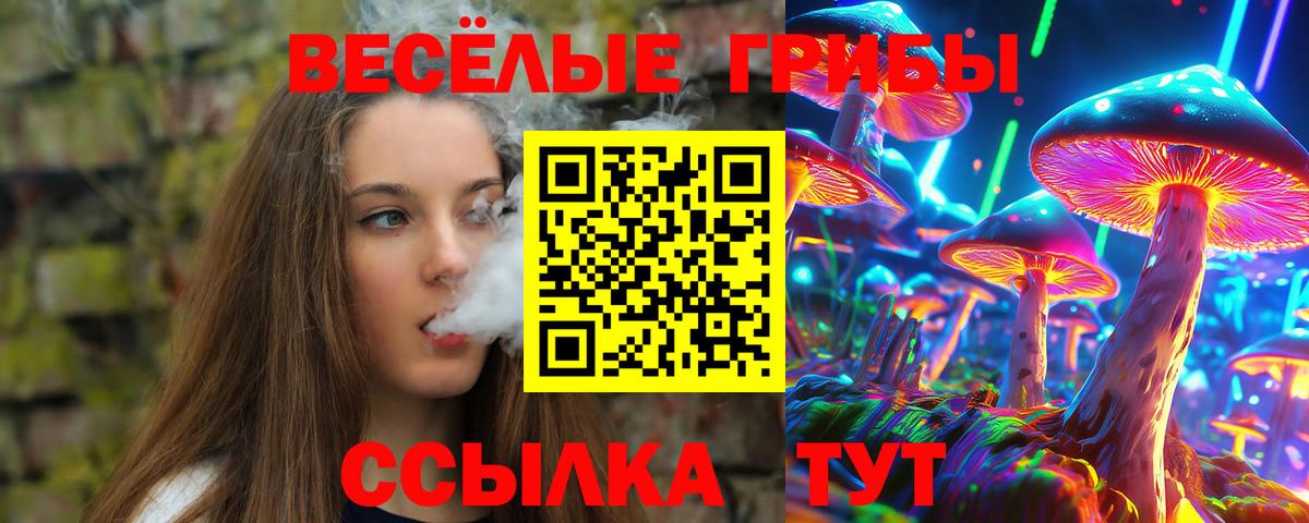 Галлюциногенные грибы Cubensis  Вход с VPN  Дятьково 